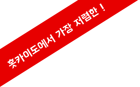 홋카이도 최저가 캠핑카 대여 BicUp
