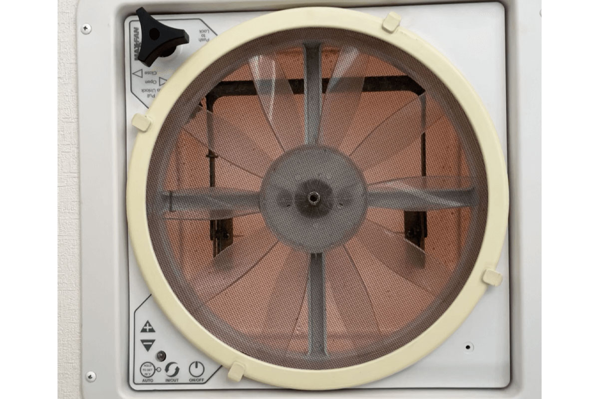 fan